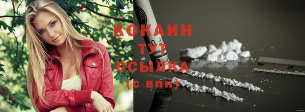 сатива Вязники