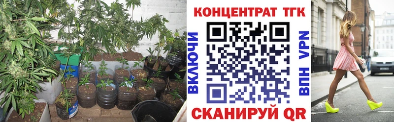 ТГК гашишное масло  Купить где  Хвалынск 
