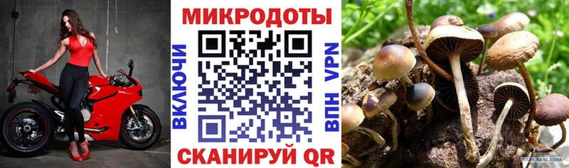 Купить  Хвалынск  Галлюциногенные грибы GOLDEN TEACHER 